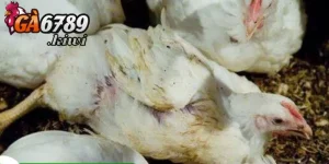 Cách thức để phòng bệnh hiệu quả cao nhất