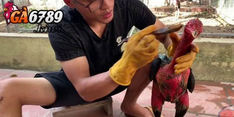 Một số lưu ý cần phải nắm rõ