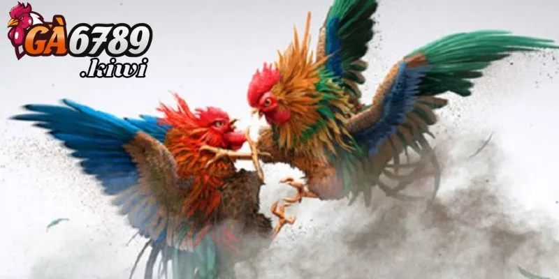 Tìm hiểu về đá gà mạng tại Ga6789