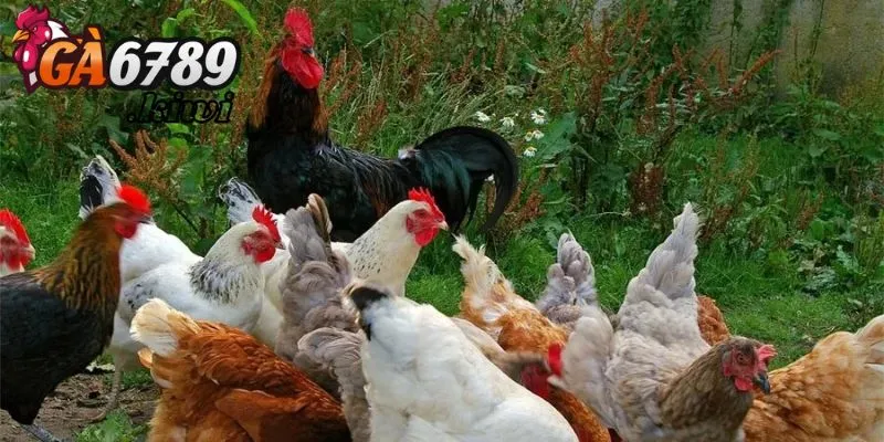 Phương pháp để phòng ngừa bệnh tốt nhất